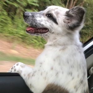 Meet your Posher, Paige